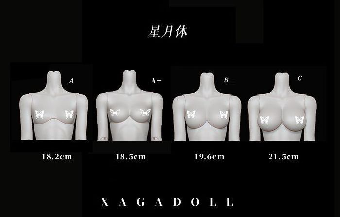 Lumina Fullset [Limited Time] | Preorder | DOLL