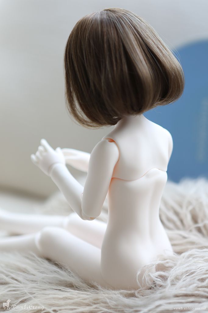 Quiche Fullset [Limited Time] | Preorder | DOLL