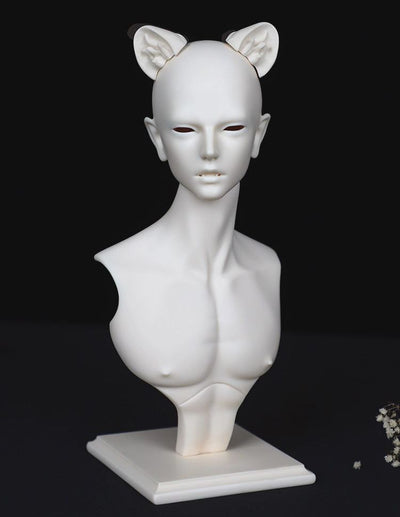 Information Head | PREORDER | PARTS