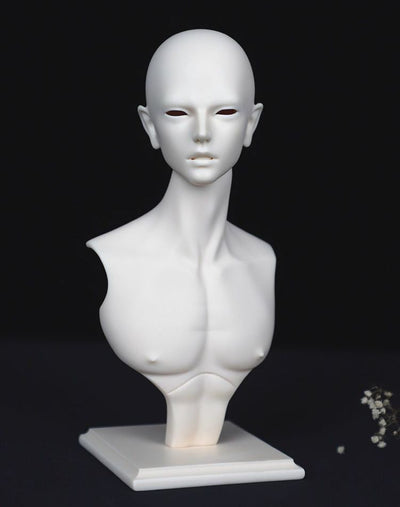 Information Head | PREORDER | PARTS