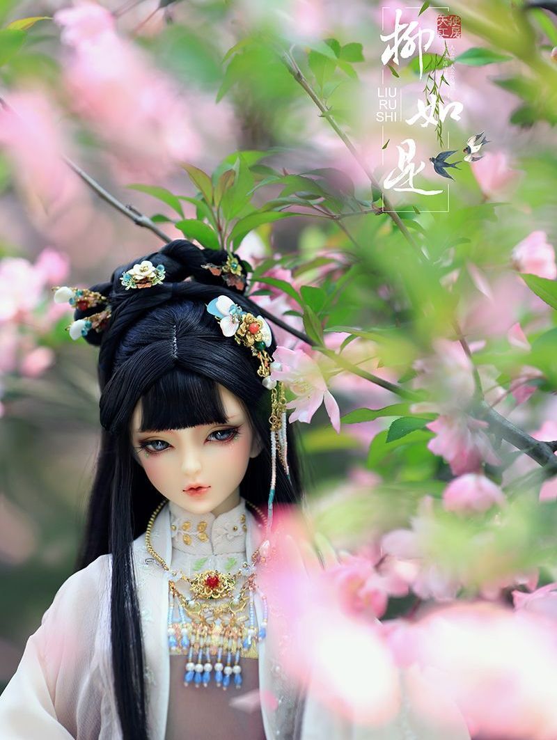 Liu Ru shi [Limited Time & Quantity] | Preorder | DOLL