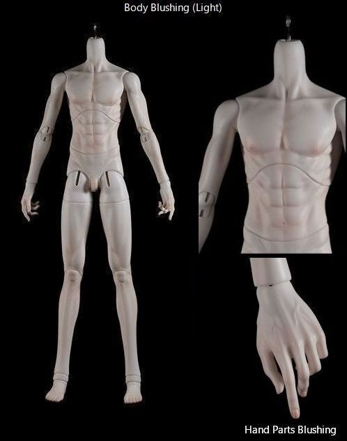 Qin Qiong Full Set | [Limited Time & Quantity: Discount] | Preorder | DOLL