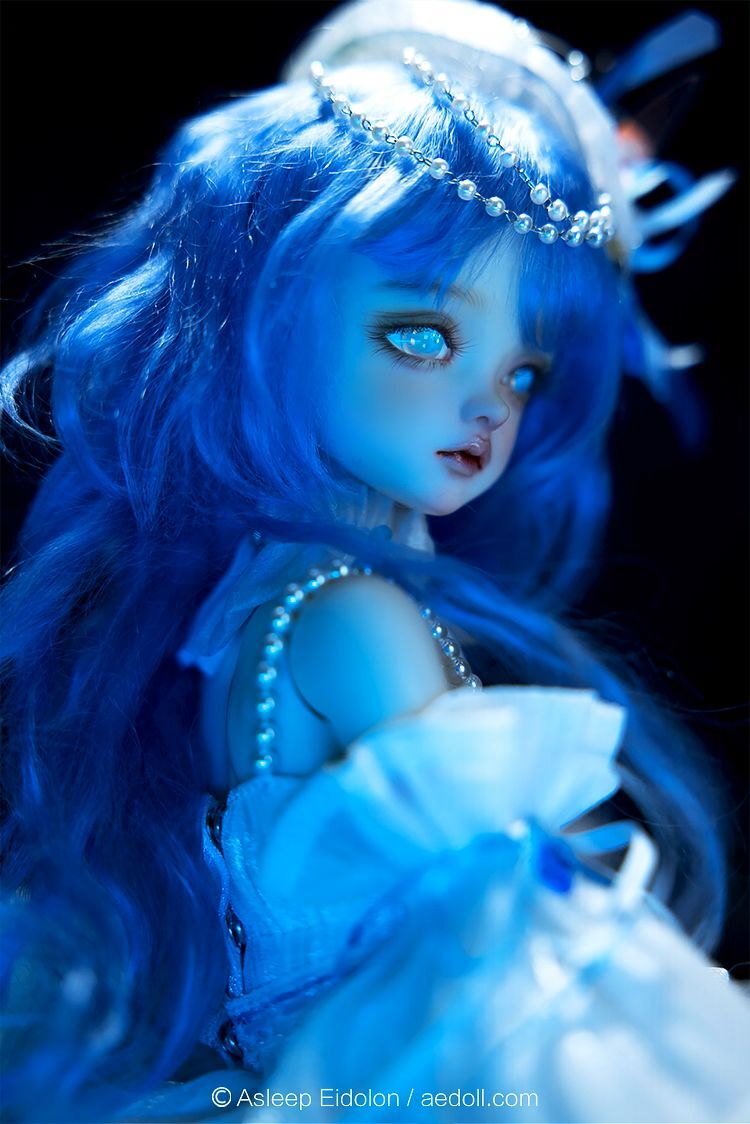 Mo Mo Fullset [Limited Time] | Preorder | DOLL