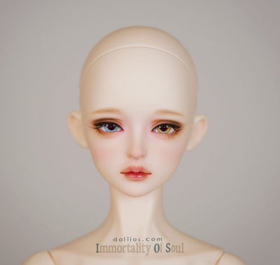 SU Secret Dream Edition [Limited Time] | Preorder | DOLL