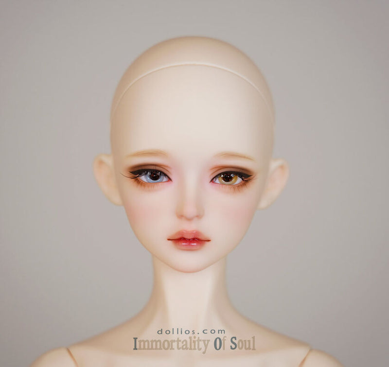 SU Secret Dream Edition [Limited Time] | Preorder | DOLL