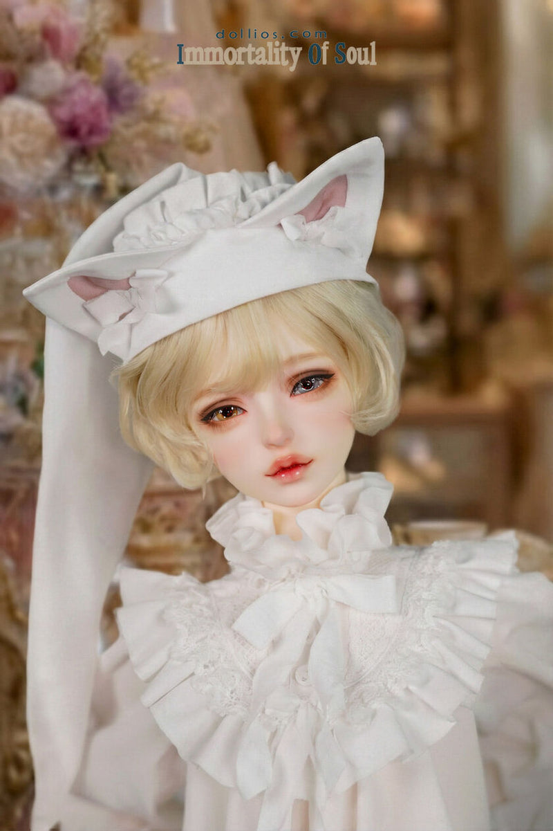 MOK -Secret Dream Edition [Limited Time] | Preorder | DOLL