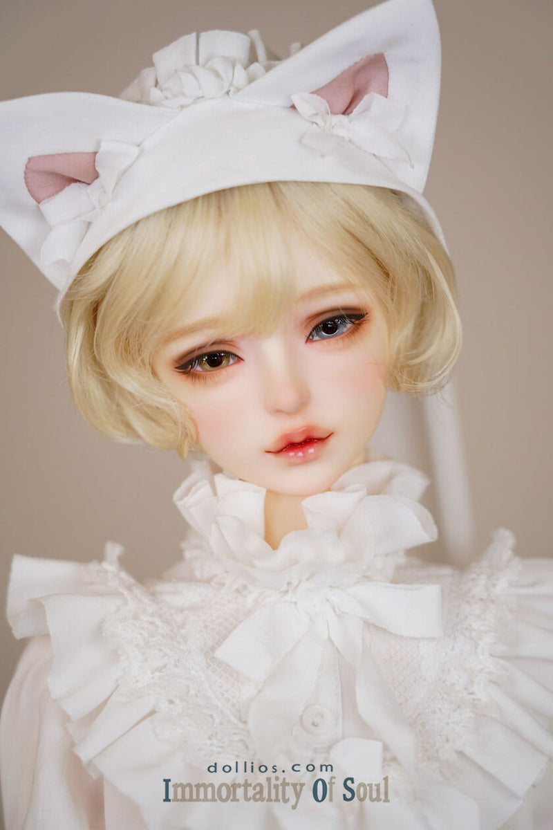 MOK -Secret Dream Edition [Limited Time] | Preorder | DOLL