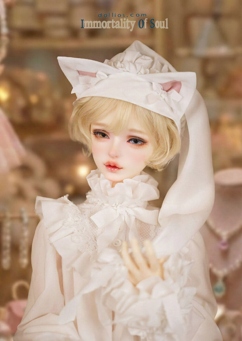 MOK -Secret Dream Edition [Limited Time] | Preorder | DOLL