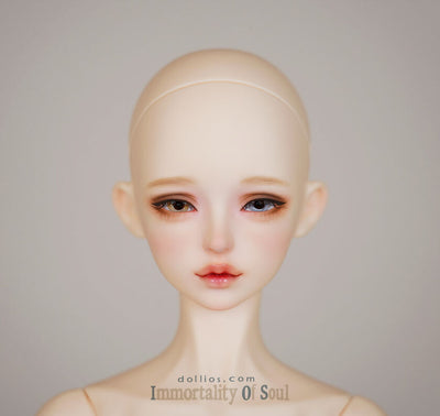 MOK Head Only [Limited Time] | Preorder | PARTS