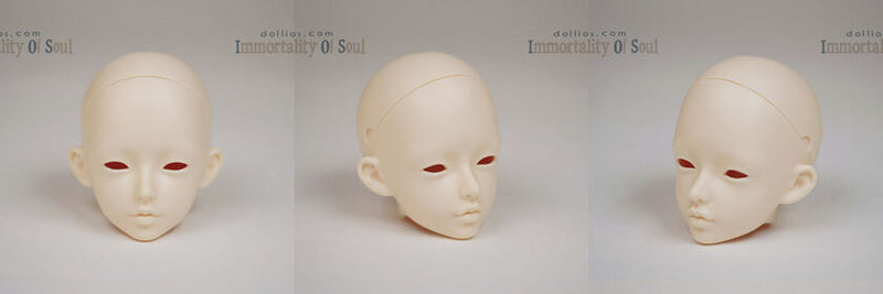 MOK -Secret Dream Edition [Limited Time] | Preorder | DOLL