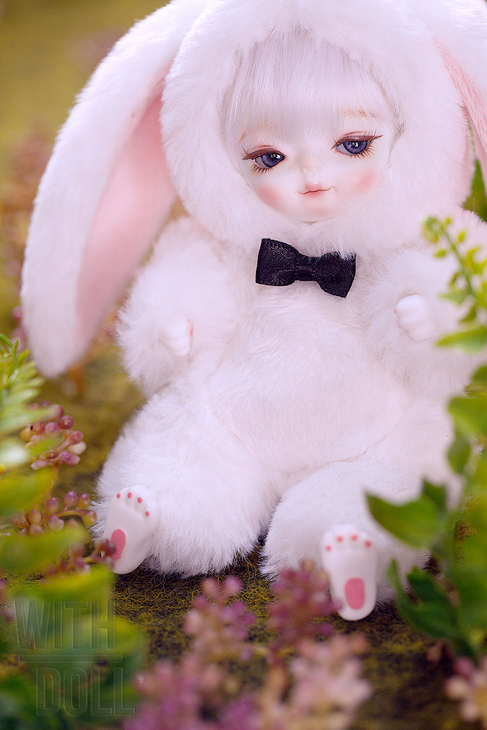 [BWD] White Rabbit (Wonderland Series) [limited time] | Preorder | DOLL