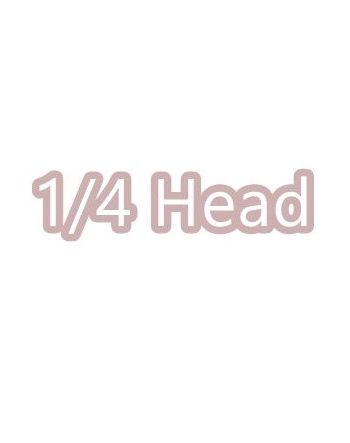 1/4 Head [Limited Time]  | Preorder | PARTS