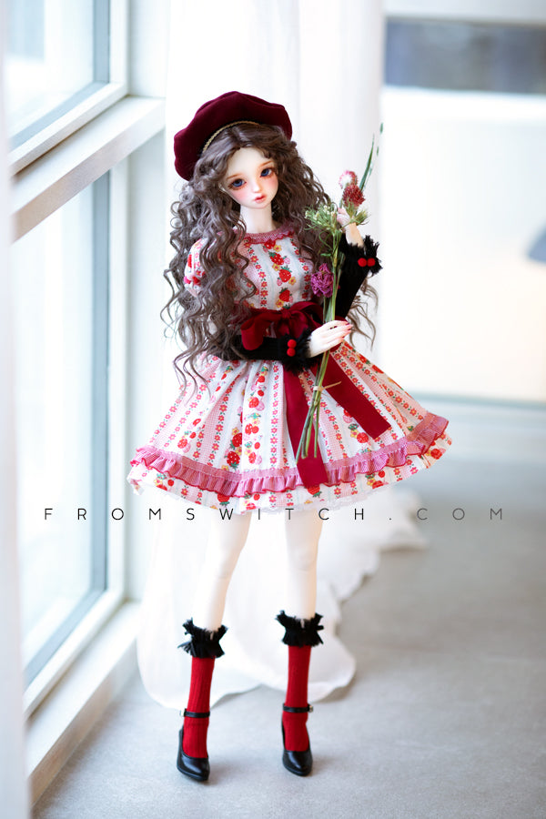 Switch BJD – Dolk BJD