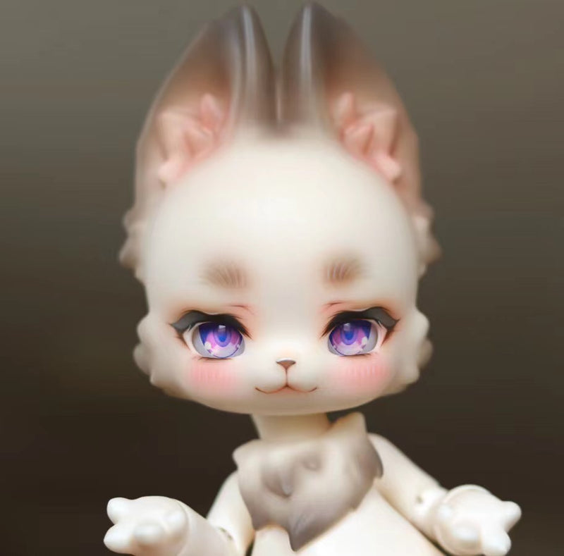 Traveling cat Maine Coon ver. limited [Limited time] | Preorder |DOLL