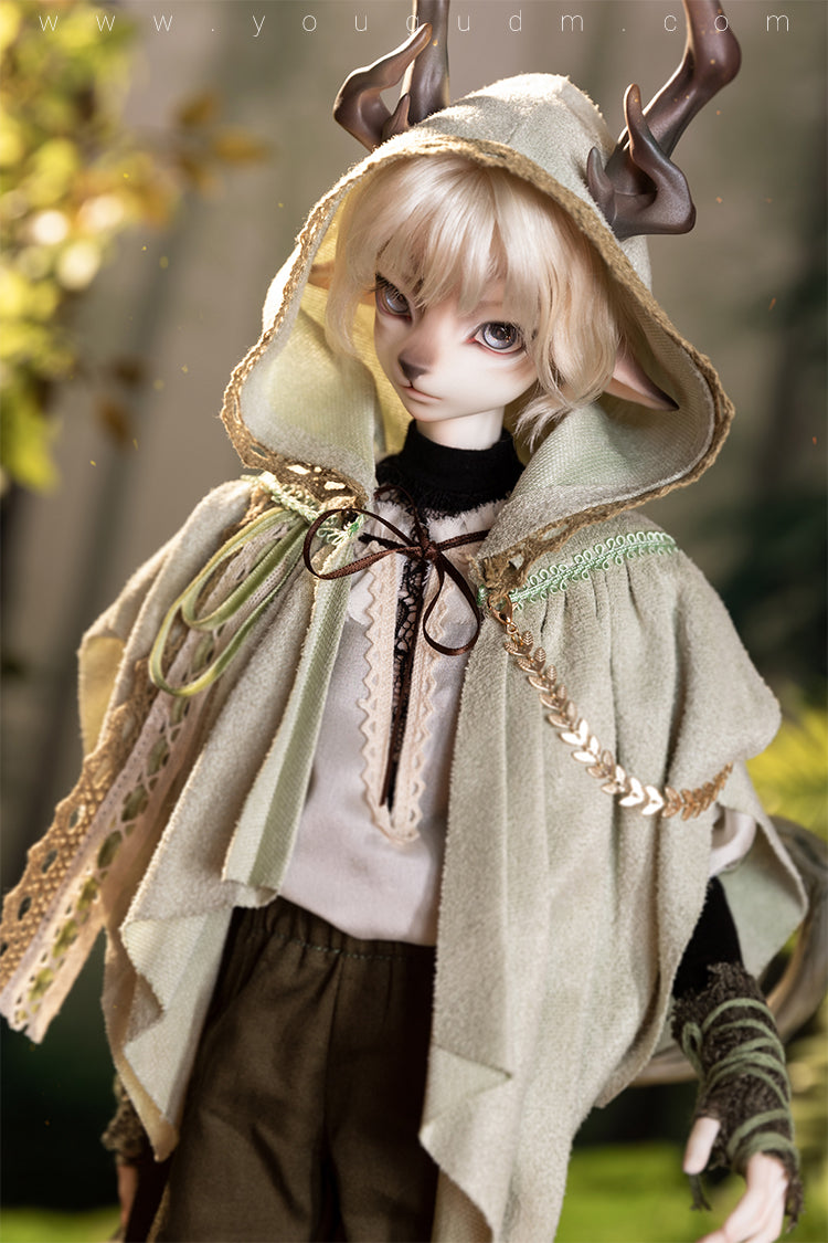 Cedar Fullset [15% OFF for a limited time] | Preorder | DOLL