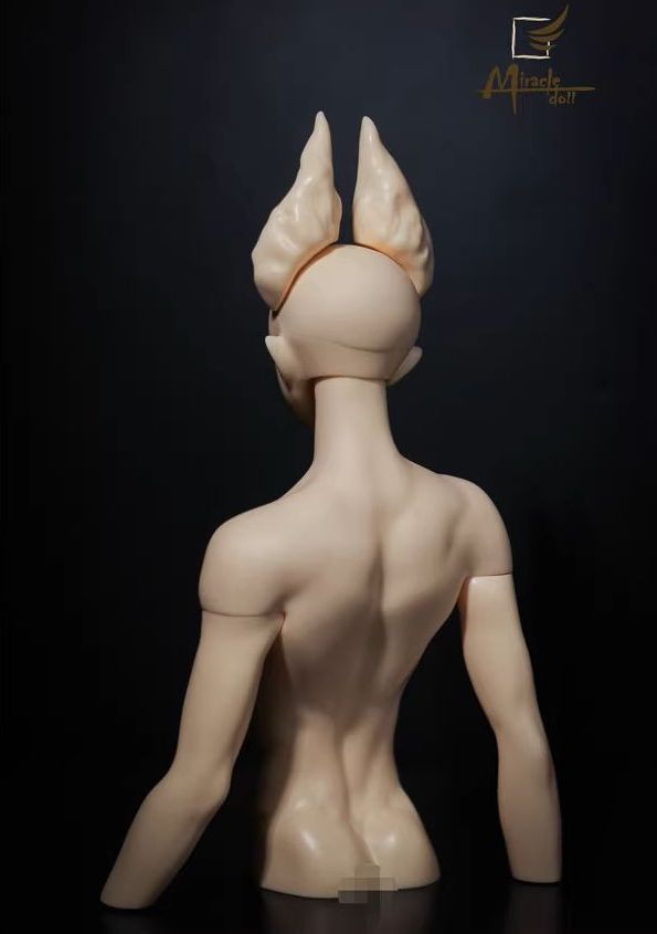 Zenyi Torso [Limited time] | Preorder | PARTS