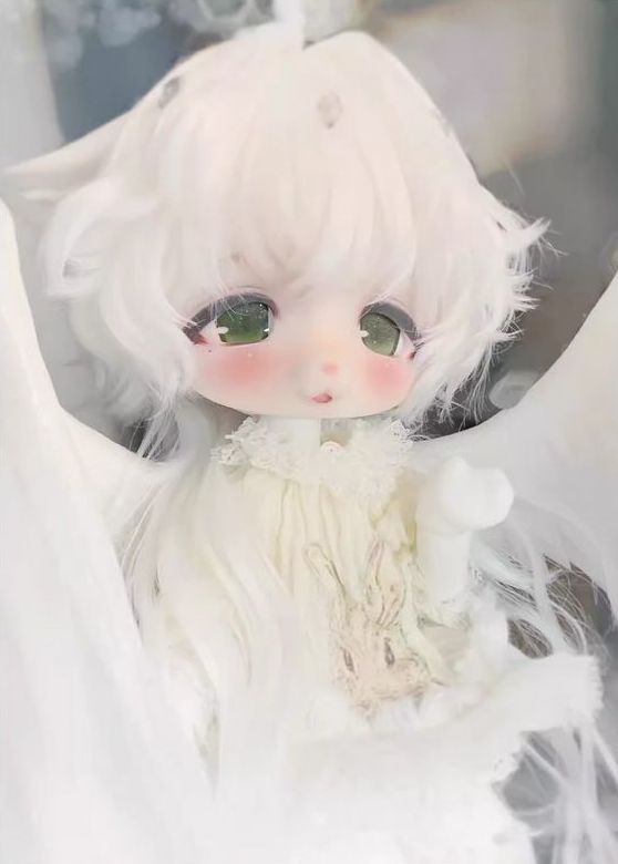 1/6 Doll [Limited time 5% OFF] | Preorder | DOLL