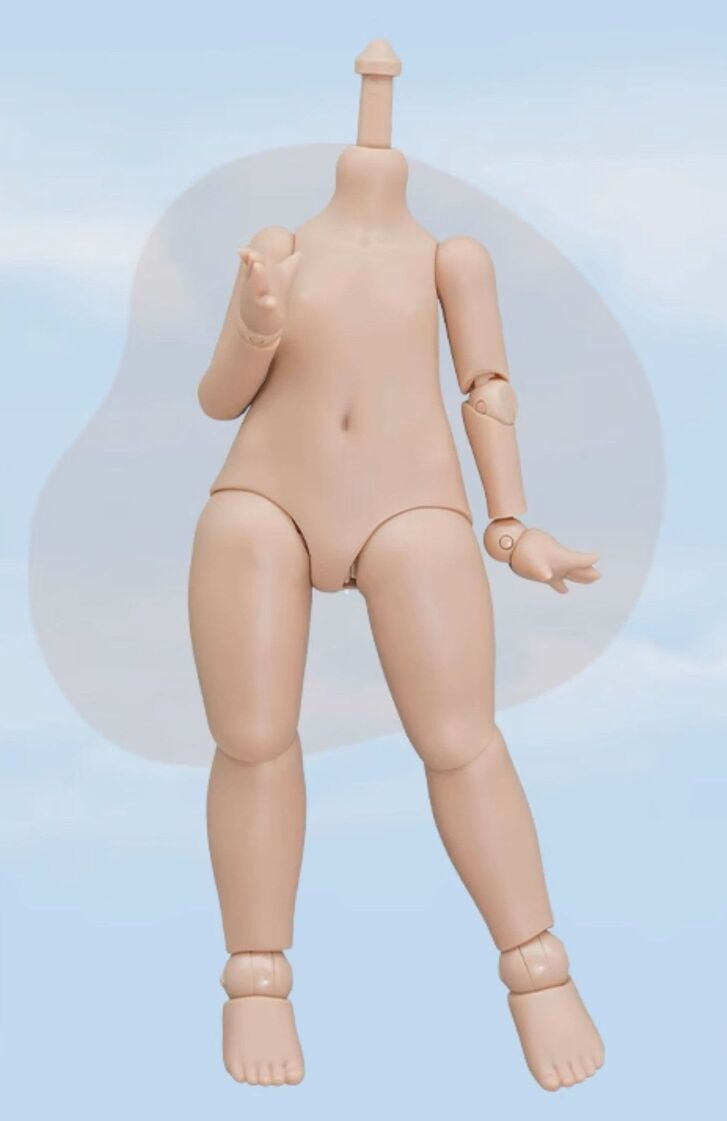 1/6 Body (Winter Melon Body Ver.2) Chocolate Skin [Limited quantity] | PREORDER | PARTS