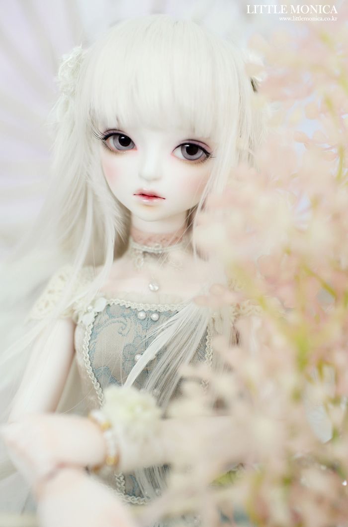 人形 LITTLE MONICA Little Kliff Little Monica Reopening – Dolk BJD