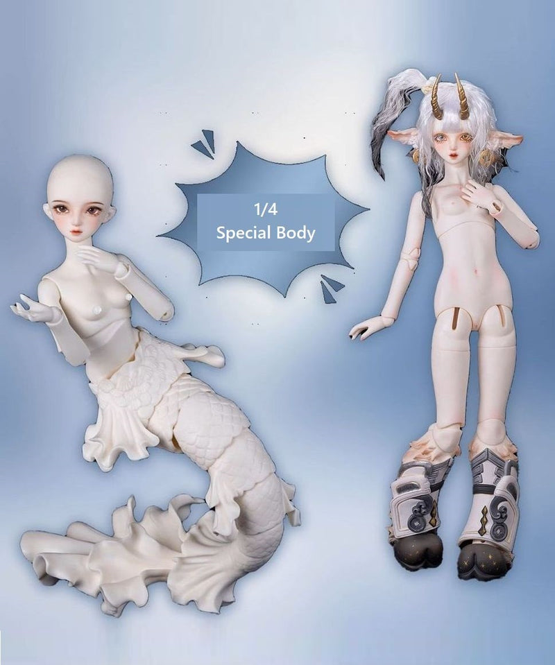 1/4 Special Body [Limited quantity] | PREORDER | PARTS