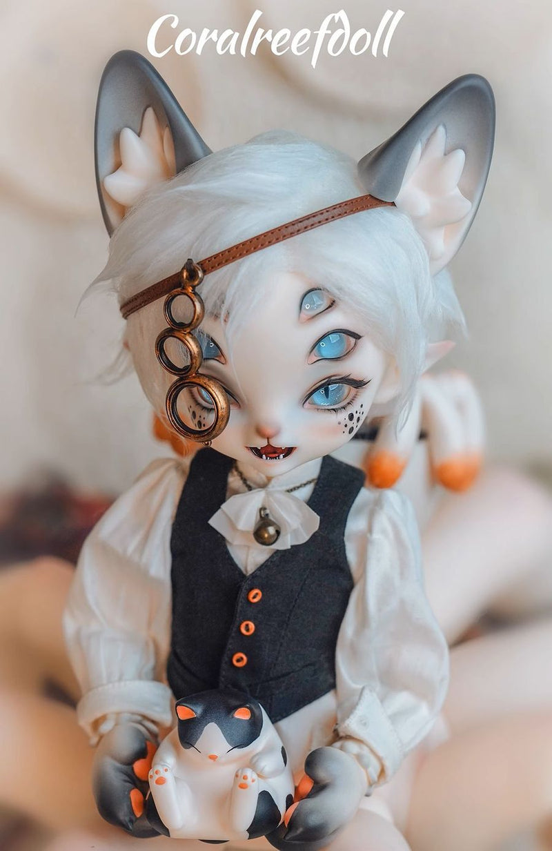 Spider Cat [Limited Time] | PREORDER | DOLL