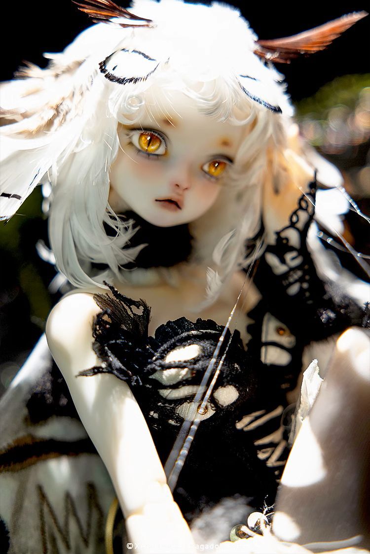 Little Moth-Titk Fullset [Quantity & limited time] | PREORDER | DOLL