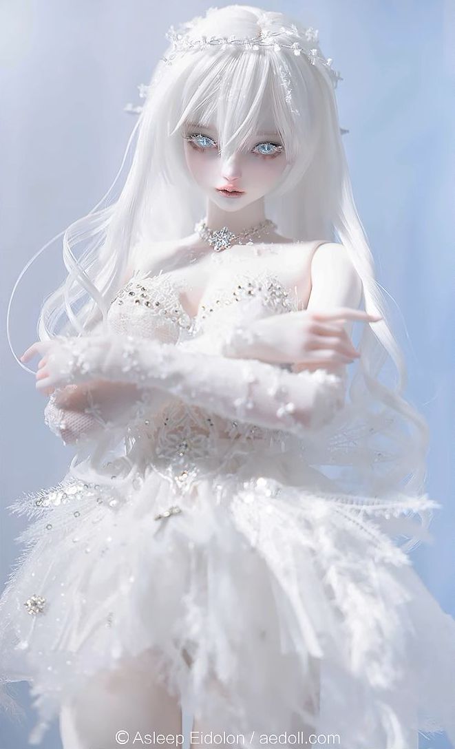 Neve Fullset [Limited quantity & time] | PREORDER | DOLL