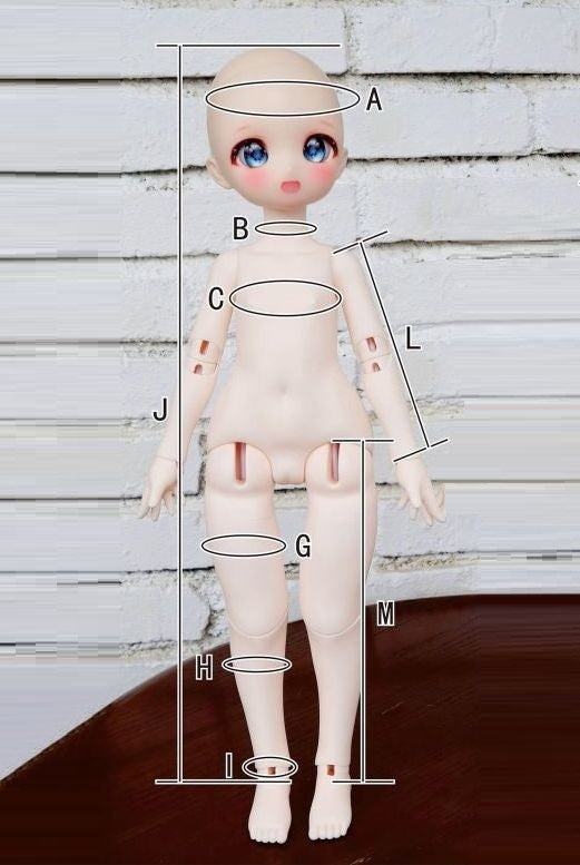 1/4 Body (Dragon Cat Body) [10% OFF for a limited time] | PREORDER | PARTS