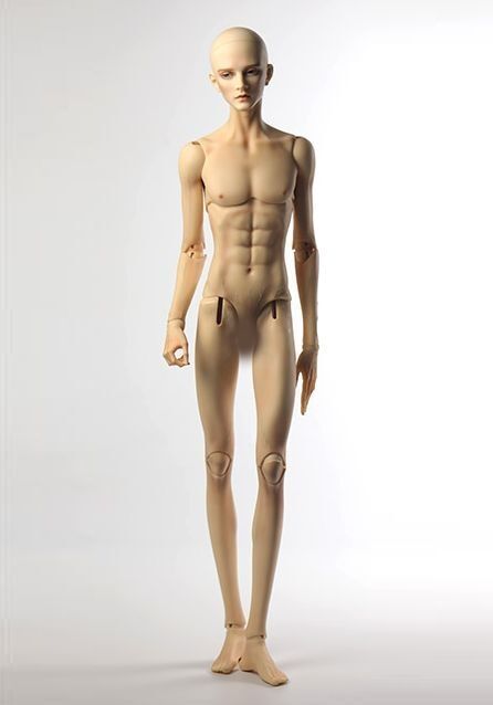 Male Body Zen 49cm | Preorder | PARTS