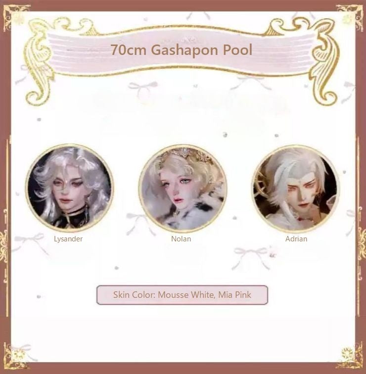70cm Gashapon: Single [Limited Time] | PREORDER | DOLL
