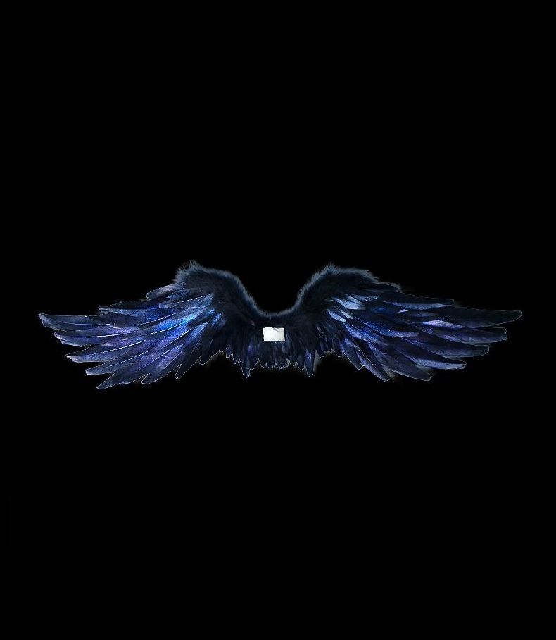 Qian Yu Feather Wings [Limited Time Offer] | PREORDER | ACCESSORY