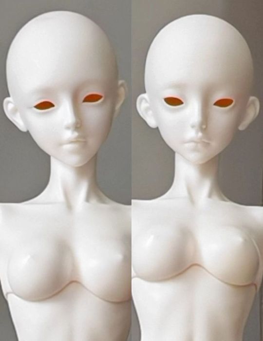 Moon Dust & Lilium Candidum Head [Limited time] | PREORDER | PARTS