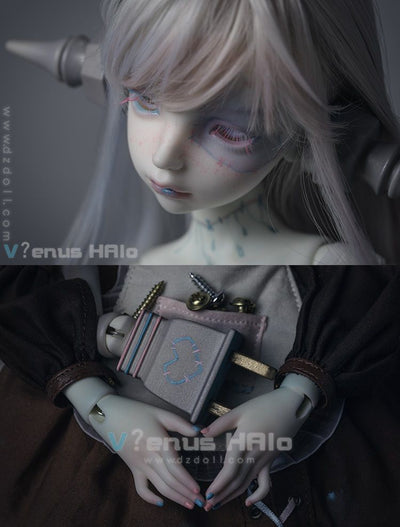 Venus Halo Human Ver. Fullset [18% OFF for a limited time] | Preorder | DOLL