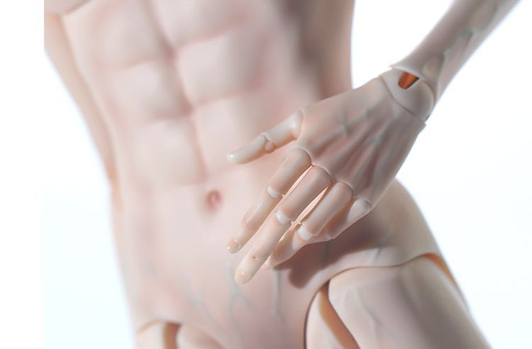 Male Body Zen 49cm | Preorder | PARTS