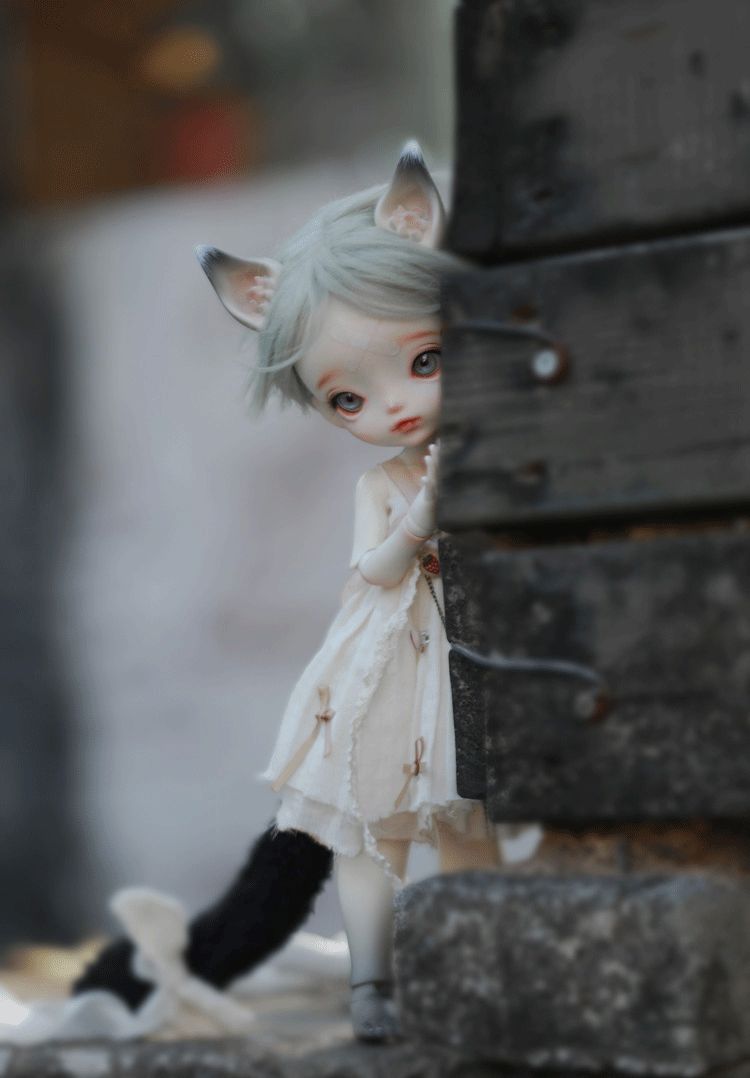 Milky Tea [Final Order 15% OFF] | PREORDER | DOLL