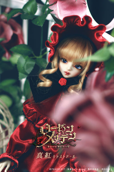 Rozen Maiden -Shinku [Limited Time] | Preorder | DOLL