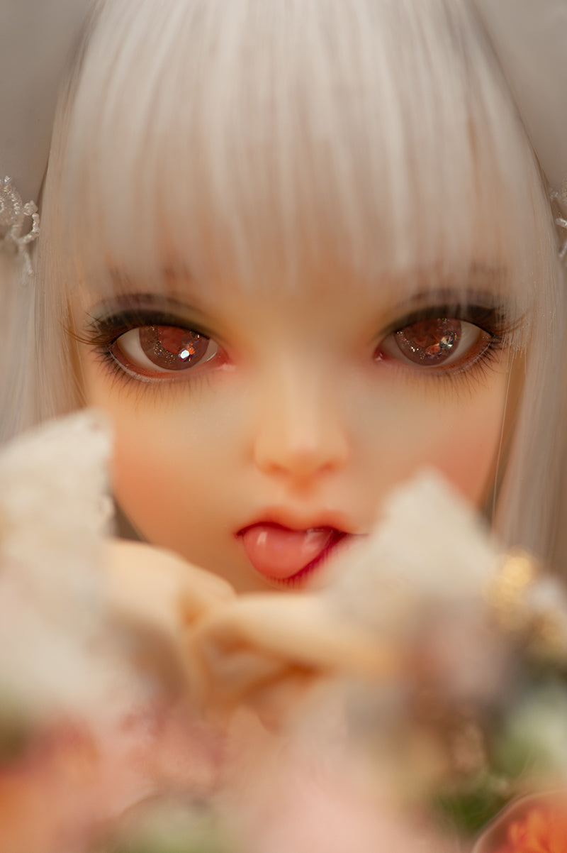 FairyLine60 Miwa Full Package | Preorder | DOLL