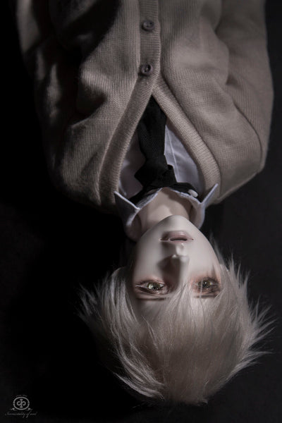 Co [Limited Time Discount] | PREORDER | DOLL