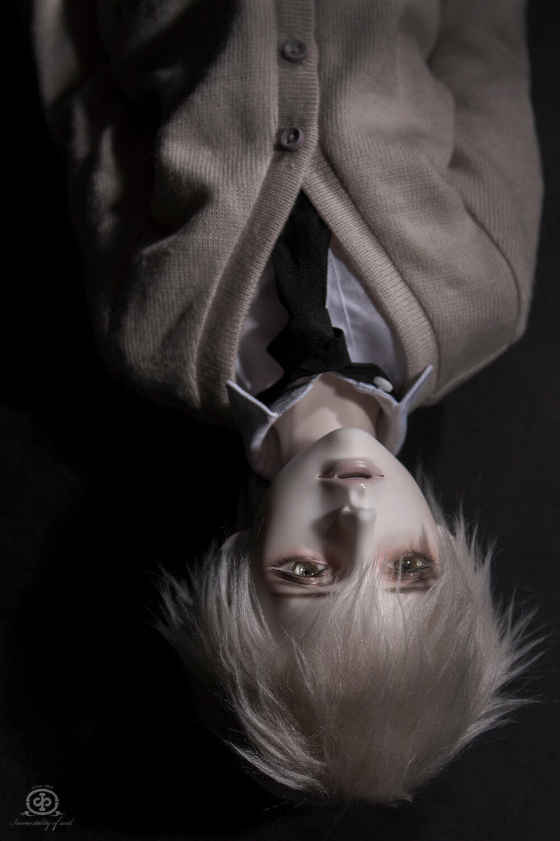 Co [Limited Time Discount] | PREORDER | DOLL