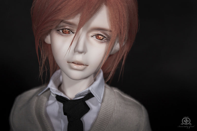 Co [Limited Time Discount] | PREORDER | DOLL