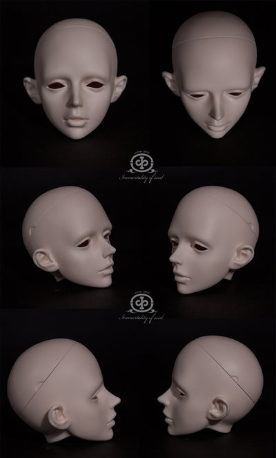 Co Head Only [Limited Time Discount] | PREORDER | PARTS