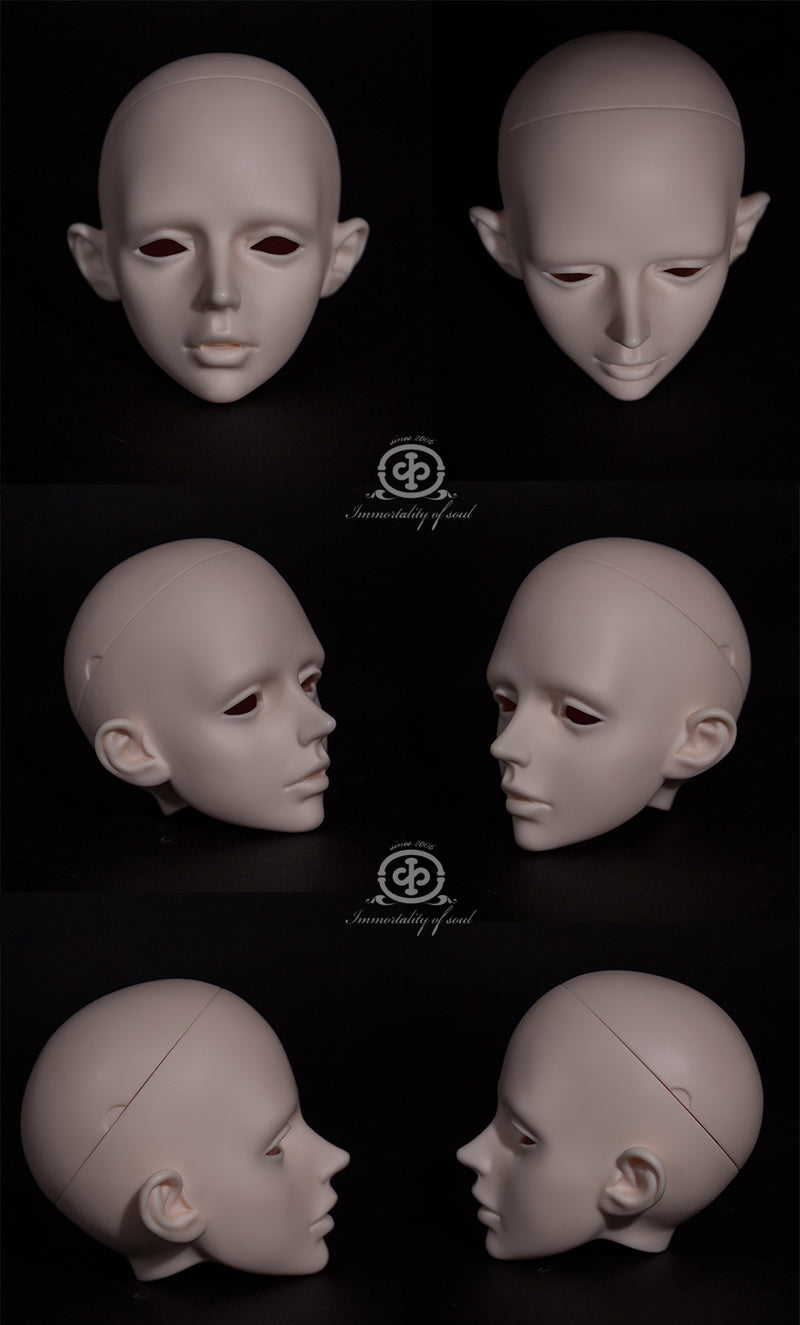 Co Head Only [Limited Time Discount] | PREORDER | PARTS