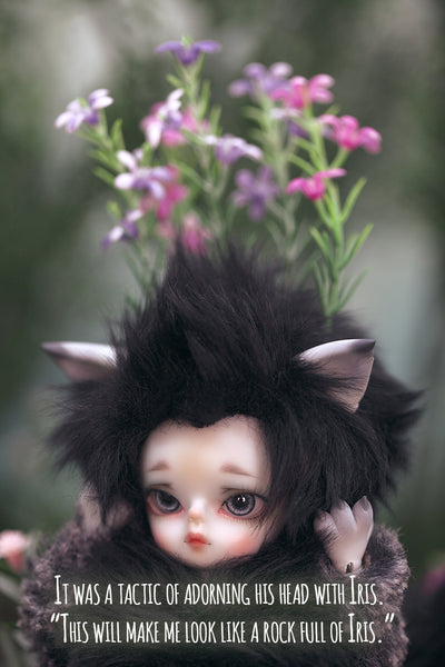 Happy Ending Story - Wolf Rudy [Limited Time 25% OFF] | PREORDER | DOLL