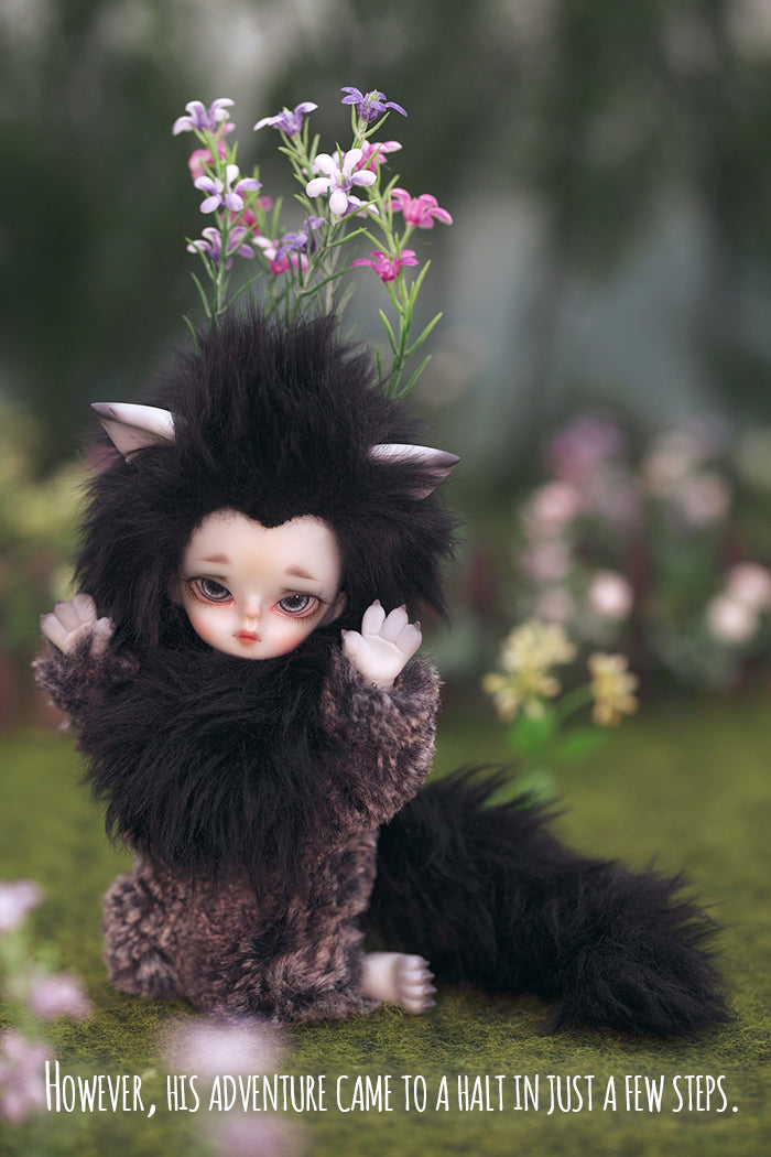 Happy Ending Story - Wolf Rudy [Limited Time 25% OFF] | PREORDER | DOLL