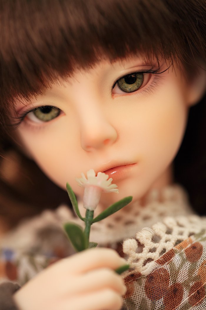 [JWD] Cathy [Limited Time 5%OFF] | Preorder | DOLL