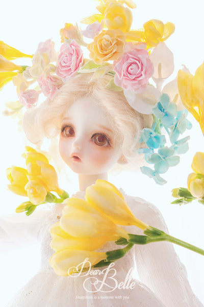 Noel [Limited Time] | Preorder | DOLL