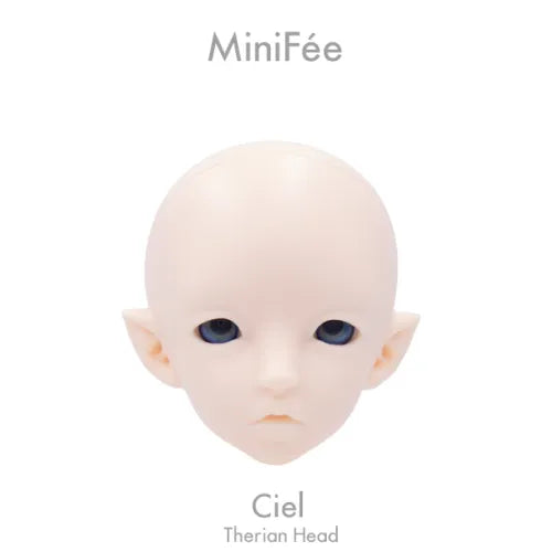 MiniFee Ciel Designers Complete (Arcenciel) [Limited Time] | Preorder | DOLL