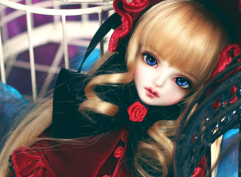 Rozen Maiden -Shinku [Limited Time] | Preorder | DOLL