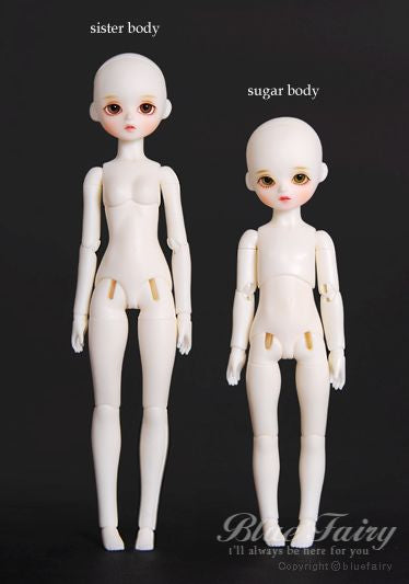 PF Sister & Brother Body [March Pre-Order] [Limited Time] | Preorder | PARTS