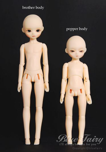 PF Sister & Brother Body [March Pre-Order] [Limited Time] | Preorder | PARTS